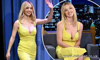 Sydney Sweeney convinced her family to let her become an actress with a 'five-year business plan' - Daily Mail