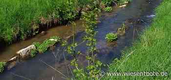 Landratsamt Bamberg informiert: Beim Gartengießen und Bewässern auch an den Gewässerschutz denken! - Der Neue Wiesentbote