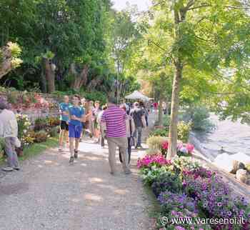 Risboccia sul lago Maggiore, dopo la pandemia, InFiorita Ispra 2022 - VareseNoi.it