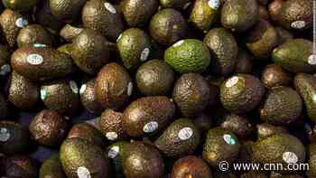It's Cinco de Mayo, and avocado prices are soaring