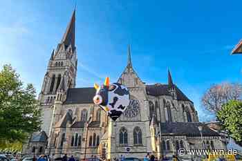 Nufer: „Star war nach außen die Kuh, nach innen die  Botschaft“