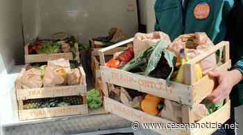 Arriva anche a Sogliano al Rubicone “Trasp-Orto”. Il servizio che porta la frutta e la verdura dalla campagna in città - cesenanotizie.net
