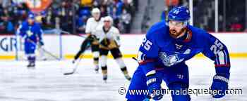 Le calendrier des Lions déjà connu