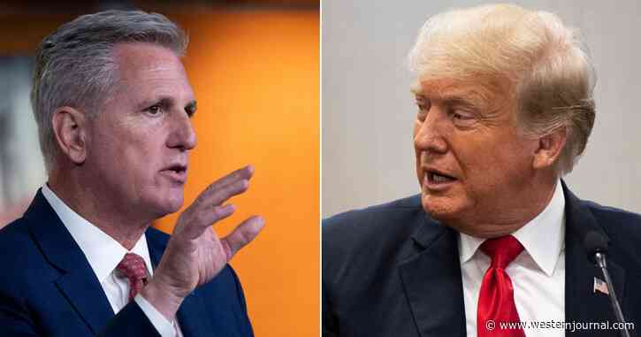 House GOP Leader Lands in Fresh Batch of Hot Water: New Audio Reveals He Talked About Removing Trump via 25th Amendment