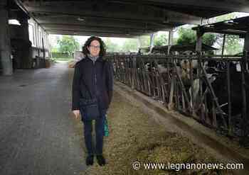 "Coltivare il territorio mangiando": ecco il latte De.Co. di Parabiago - LegnanoNews.com