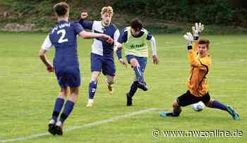 Jugendfußball-Bezirksligen: Löwen punkten doppelt in Varel - Nordwest-Zeitung
