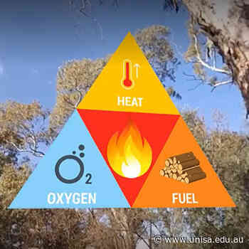 Immersive VR: empowering kids to survive in fire, flood, and war - University of South Australia