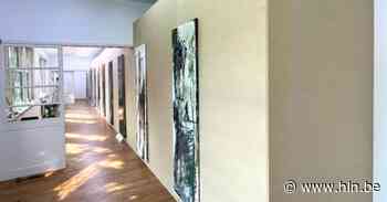 Arne Bastien houdt solotentoonstelling in Transit | Mechelen | hln.be - Het Laatste Nieuws