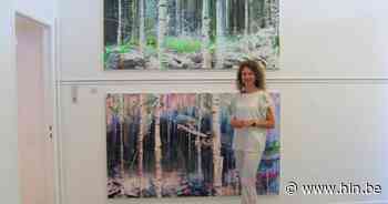 Ursulinen-leerkracht exposeert in Vrijbroekpark | Mechelen | hln.be - Het Laatste Nieuws