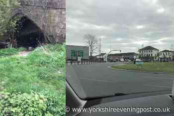 Watch moment eleven ducklings and mum brought Wakefield roundabout to a standstill during RSPCA rescue - Yorkshire Evening Post