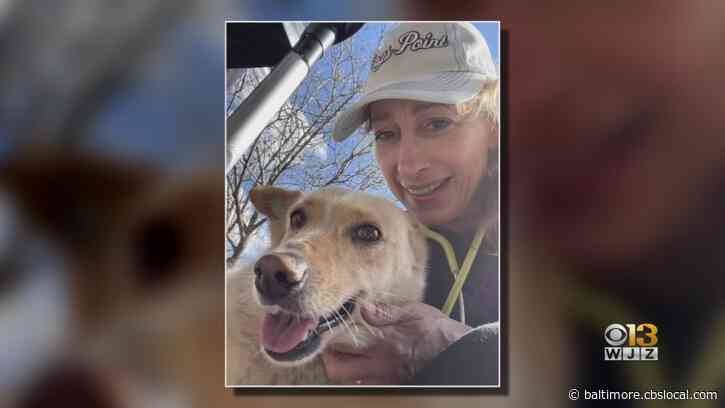 Local Veterinarian Who Traveled To War-Torn Ukraine Details Experience Helping Abandoned Animals