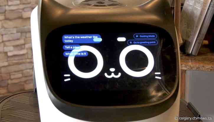 ‘You just don’t expect this’: Customers rave over new robot server at Lethbridge diner