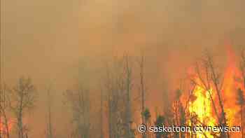 Sask. likely to see normal to above-normal wildfire season: SPSA