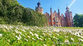 Dilbeek doet mee aan "Maai Mei Niet": Groen heeft kritiek - Persinfo.org