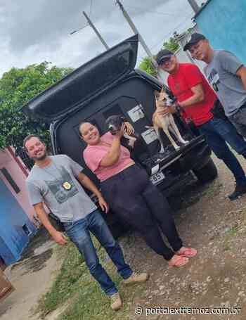Exclusivo: Polícia Civil de Extremoz e DEPREMA resgatam cachorros em situação de maus-tratos - PORTAL EXTREMOZ
