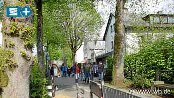 Attendorner Stadtwälle: Wie viele Bäume werden gefällt? - WP News