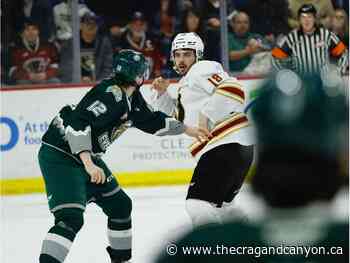 Underdogs once more, Giants hope that mindset that helped them past Everett works with Kamloops too - The Crag and Canyon