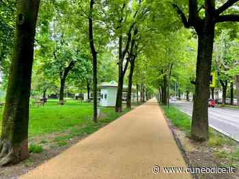 Cuneo, su viale Angeli l'effetto naturale dell'asfalto color ocra che ricorda una strada sterrata - Cuneodice.it