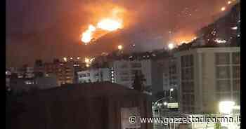 Incendi: brucia ancora Erice, le fiamme minacciano l'abitato - Gazzetta di Parma