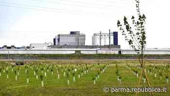 Agribosco e bottega storica: festa Barilla a Parma - foto - La Repubblica
