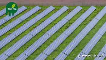 Erneuerbare Energien: Kaum geeignete freie Flächen für Solarparks in Tornesch | shz.de - shz.de