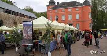 Artenvielfalt in der Wahner Heide: Die neue Kampagne heißt „Hilf der Heide“ - General-Anzeiger Bonn