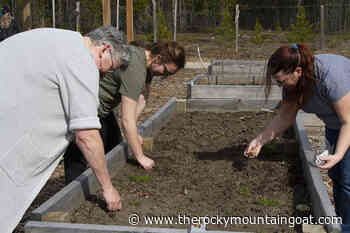 Earth Day at the Valemount Community Garden – The Rocky Mountain Goat - The Rocky Mountain Goat