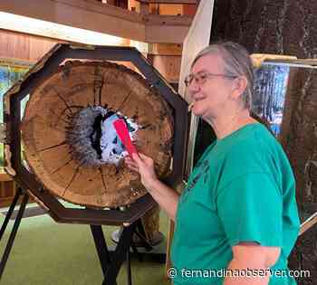 Pat's Wildways: Southern Forest World - Fernandina Observer