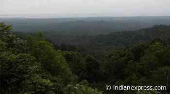 Karnataka denotifies two thirds of forest land, draws flak from conservationists - The Indian Express