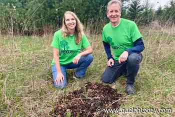 New forest coming to city's south end - GuelphToday