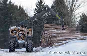 Nova Scotia nears full implementation of new forest practices guide - Wood Business - Canadian Forest Industries