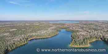 Domtar sells Hearst Forest land to Nature Conservancy of Canada - Northern Ontario Business