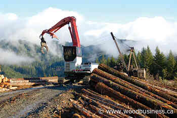 Sustainable stewardship: Mosaic Forest Management puts the environment front and centre - Wood Business - Canadian Forest Industries
