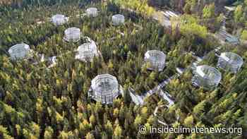 Across the Boreal Forest, Scientists Are Tracking Warming's Toll - InsideClimate News