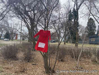 Red dresses hang in Wetaskiwin for Red Dress Day - Bashaw Star