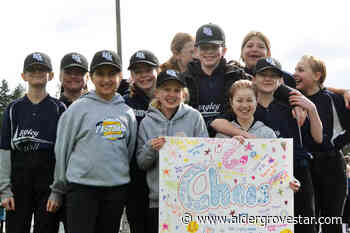 Langley municipalities host sports, culture and arts events for Youth Week – Aldergrove Star - Aldergrove Star