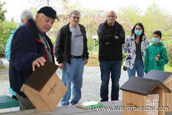 Langley welcomes a passionate mason bee lover for informative workshop – Aldergrove Star - Aldergrove Star