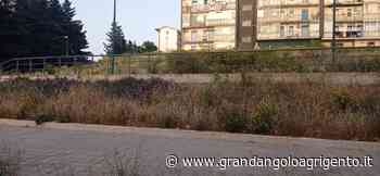 Erbacce e zecche nel quartiere di Fontanelle, la denuncia dei residenti - Grandangolo Agrigento