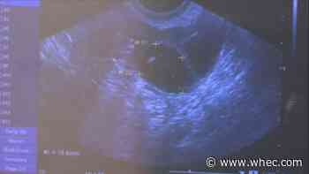 NY Democrats call for state fund for abortions, constitutional amendment