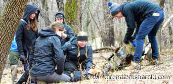 UND medical students get hands on training at Turtle River State Park - Grand Forks Herald