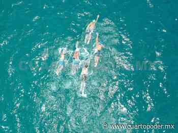 Sirenas y tritones al nacional de Bacalar - Cuarto Poder