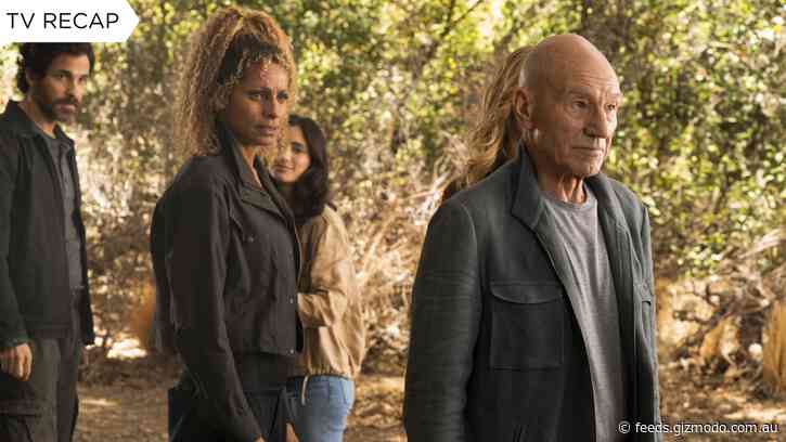 Star Trek: Picard’s Season Finale May Be One of the Most Unhinged Hours of Television This Year