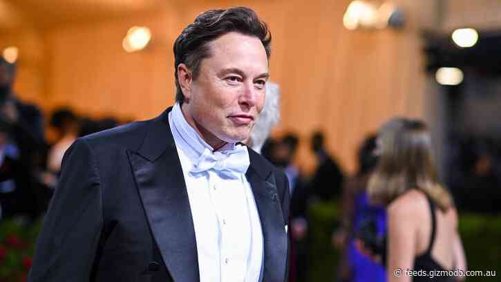 Musk Goes to Crypto Bros, Big Tech, and Saudis for Twitter Deal Funding