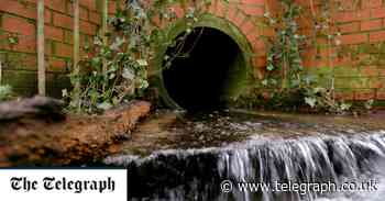 Britain's rivers are awash with statins, antidepressants and prescription drugs - The Telegraph