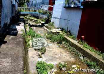 En Misantla, urgen desazolve del arroyo Pailte; emana olores fétidos - Imagen del Golfo