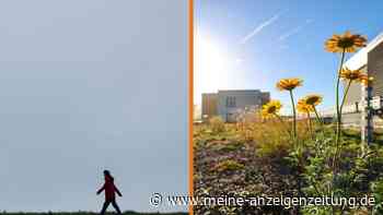 Sommerwetter oder Frostbeulen – was die Eisheiligen in NRW im Mai bringen