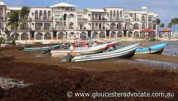 Australian woman missing in Mexico - Gloucester Advocate