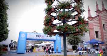 Nel fine settimana Fossano si colora con Expoflora - La Guida - LaGuida.it