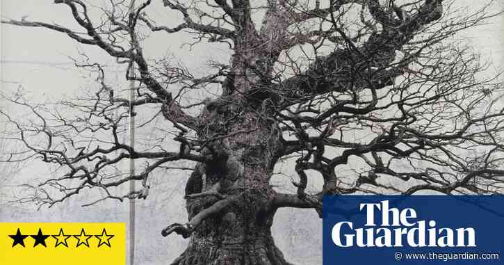 Radical Landscapes review – ‘Is loving green fields really wicked?’