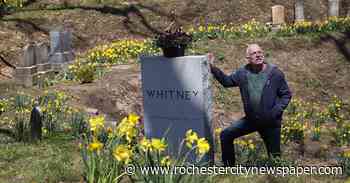 They call him 'The Daffodil Man' of Mount Hope Cemetery - Rochester City Newspaper